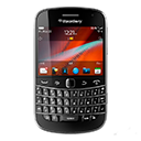 Torch 9900